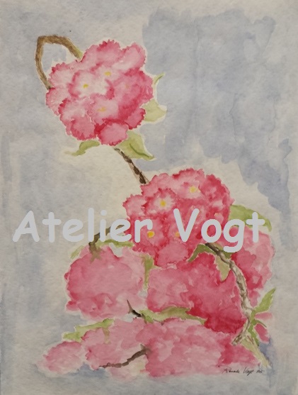 Japanische Zierkirsche