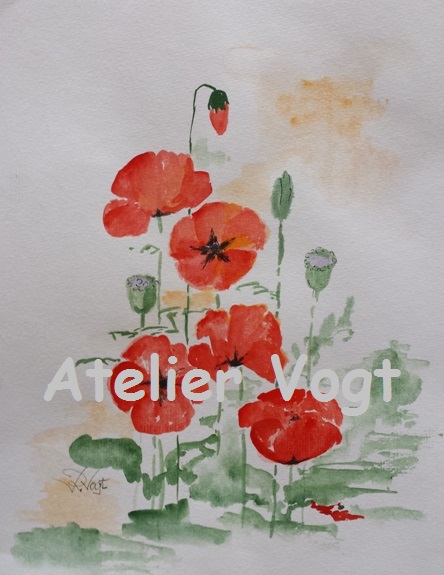 Mohn - Aquarell - 25x32cm