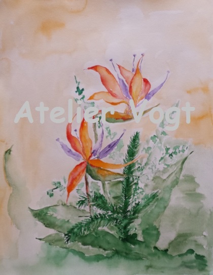 Strelitzie - Aquarell - 50x60cm